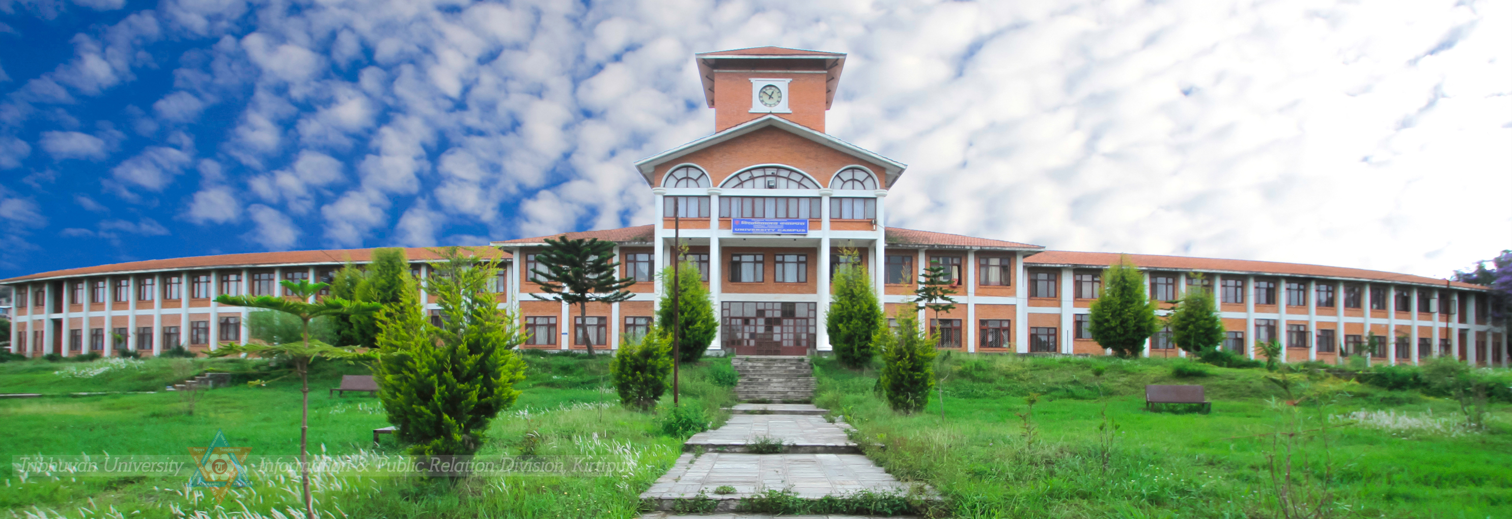 Category Image
